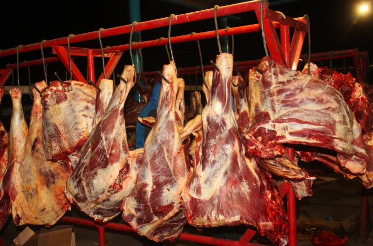 ЗКО оказалась в списке лидеров по удорожанию мяса