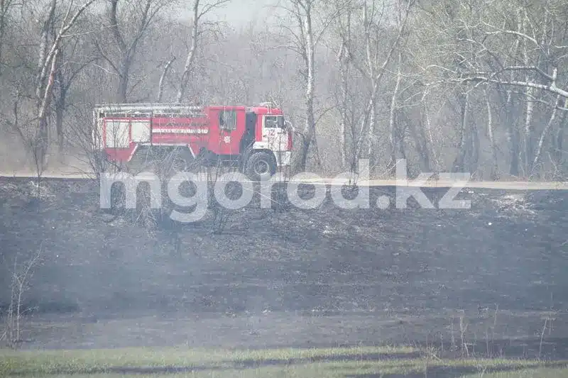 Генпрокуратура подключилась к расследованию дела о пожаре в области Абай