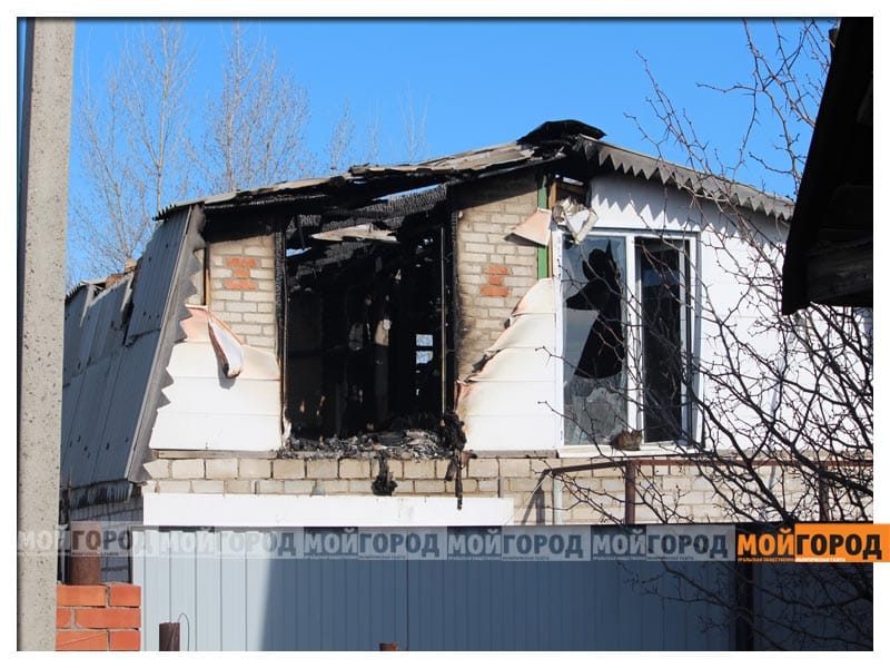 В Атырау футболисты вышли на поле с щенками