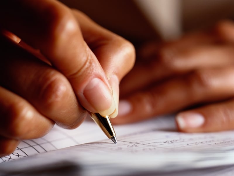 Восстановление лесов в ЗКО: весной намерены высадить 596 гектаров