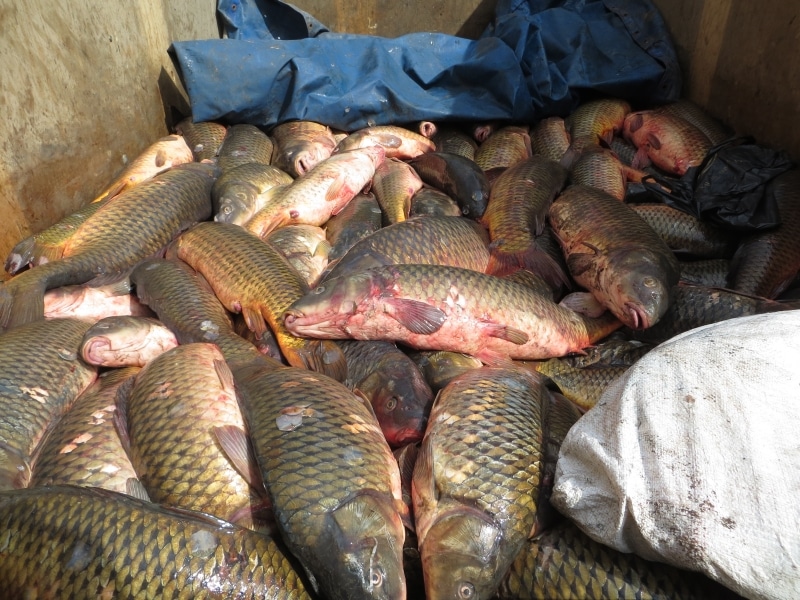 В Атырау бастовали водители автобусов