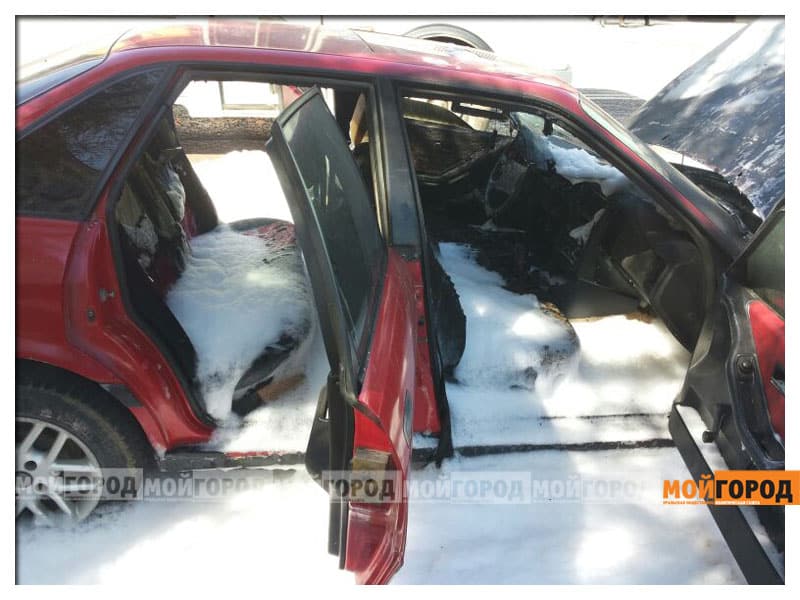 Трупы собак на улицах: жители ЗКО жалуются на антисанитарию