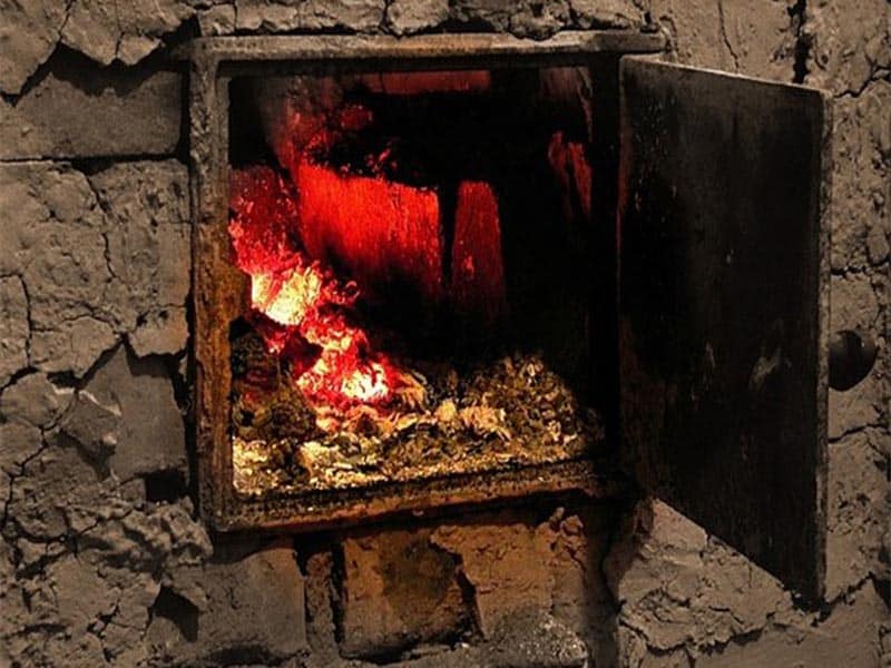 187 детей укусили клещи в Алматы