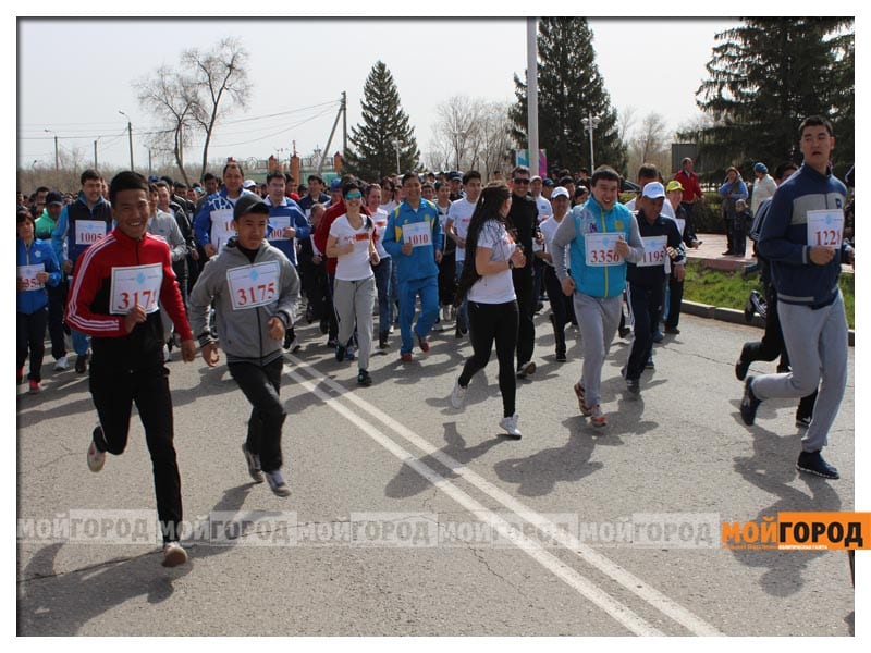 11 смартфонов, спрятанных в сварочном аппарате, пытались передать в колонию ЗКО