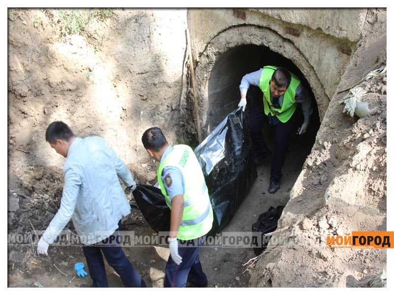 Где в Алматы запретили ездить на самокатах