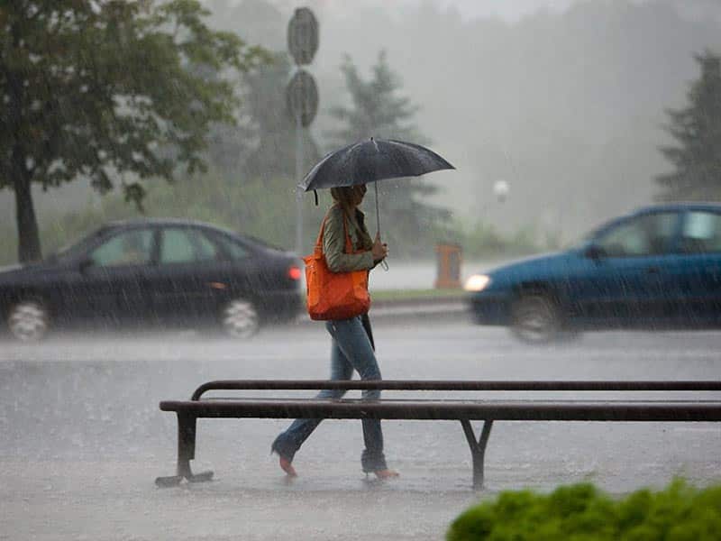 Опубликован список 14 лесничих, погибших в пожаре в Абайской области