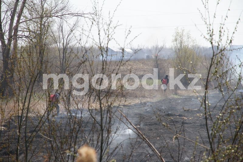 Погибший тракторист в Абайской области умер от сердечной недостаточности