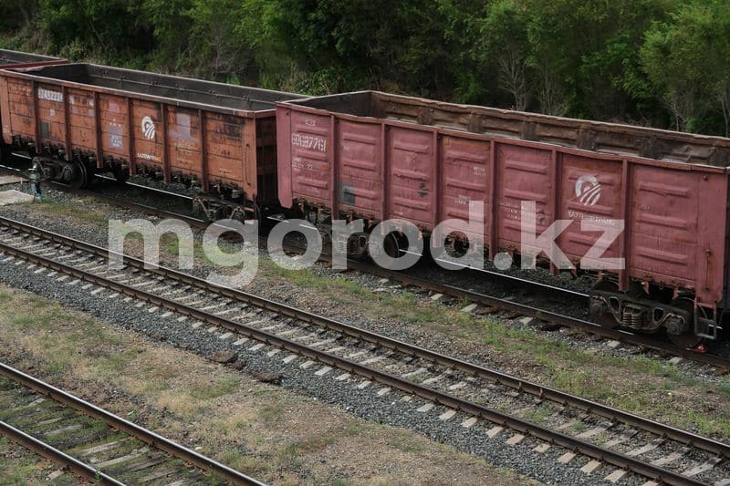 Поезд сбил 25 животных в Актюбинской области. Владельца скота наказали