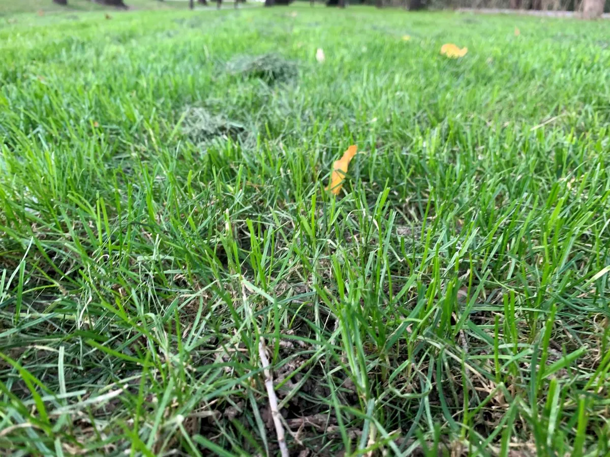 С жары начнётся июль в Казахстане