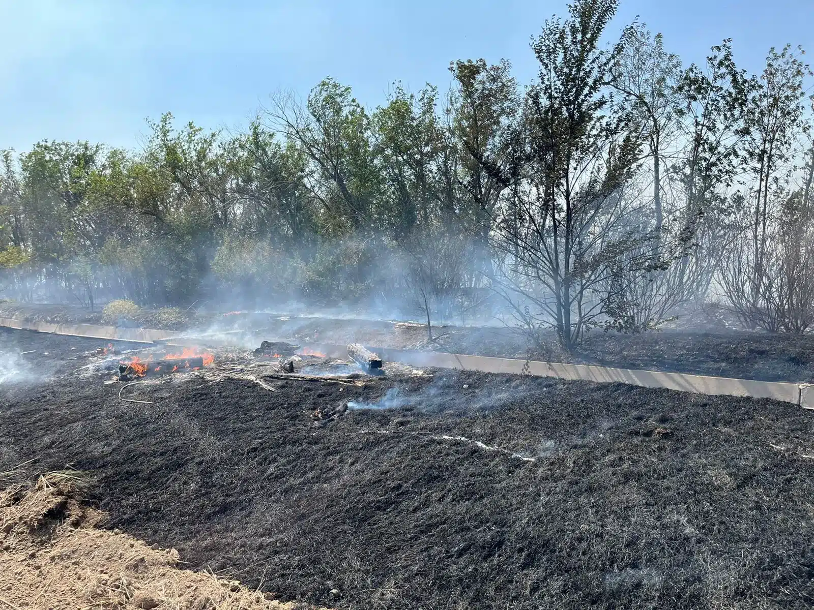 Горящий сухостой тушат в Уральске