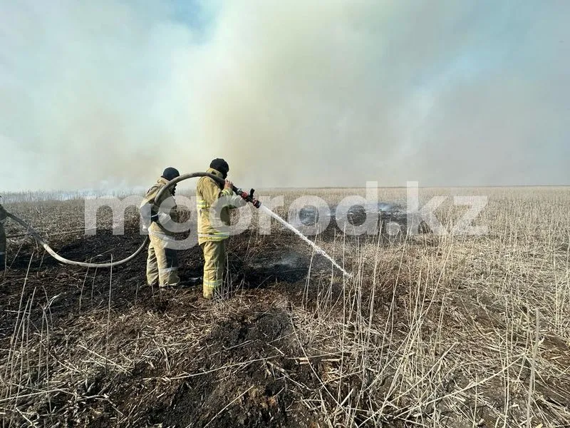 10 гектаров камыша горит на берегу Каспия в Атырауской области