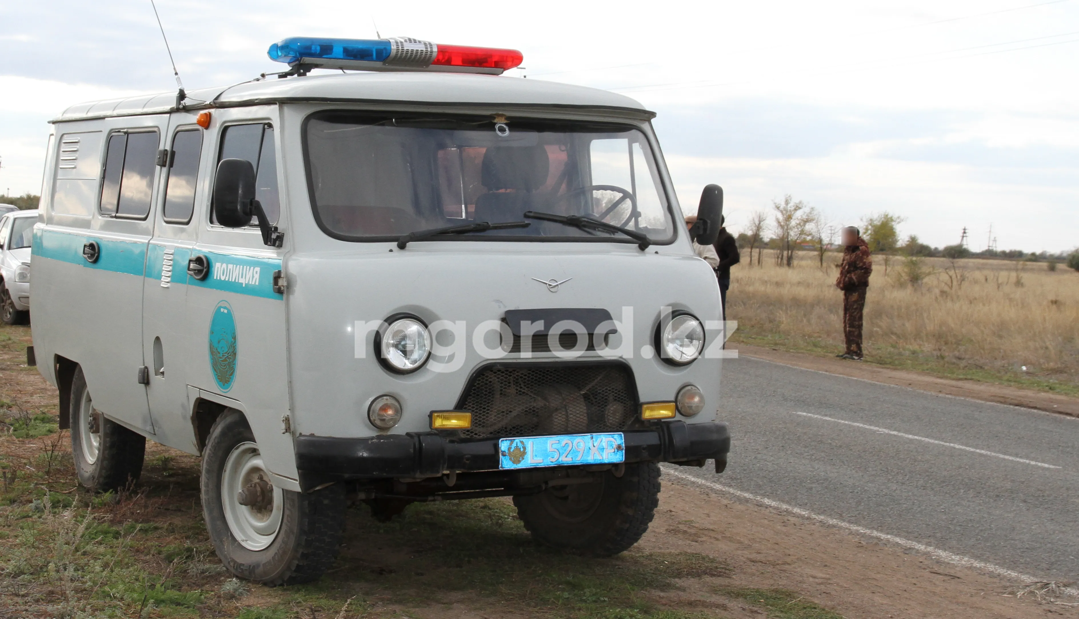 Женщину сбили на обочине дороги в ЗКО