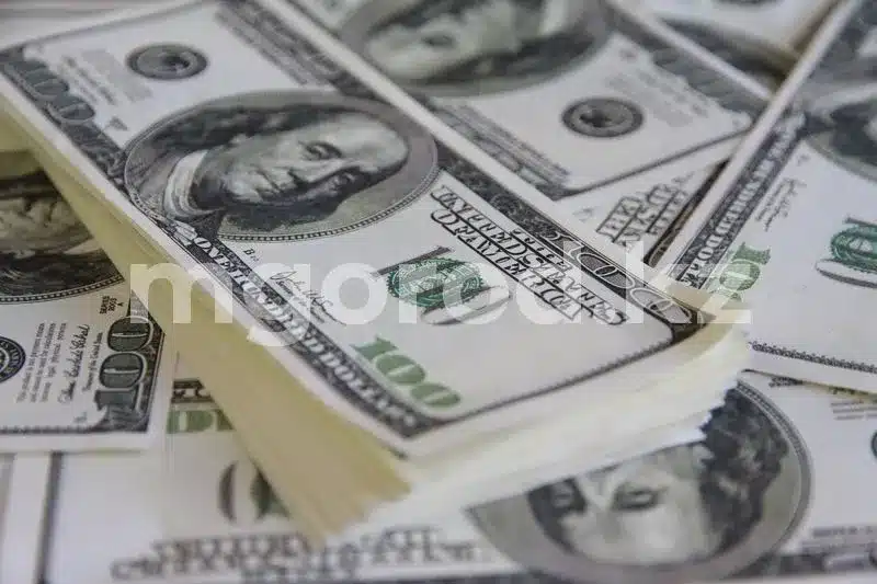 Госаудиторов поймали на сокрытии хищений в сфере образования