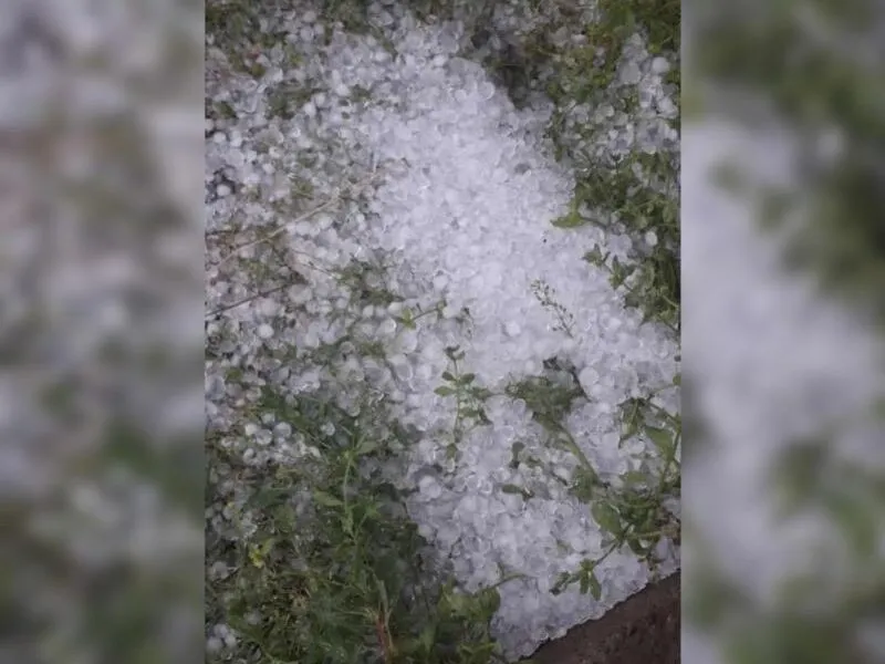 Дождь и град ожидаются в ЗКО