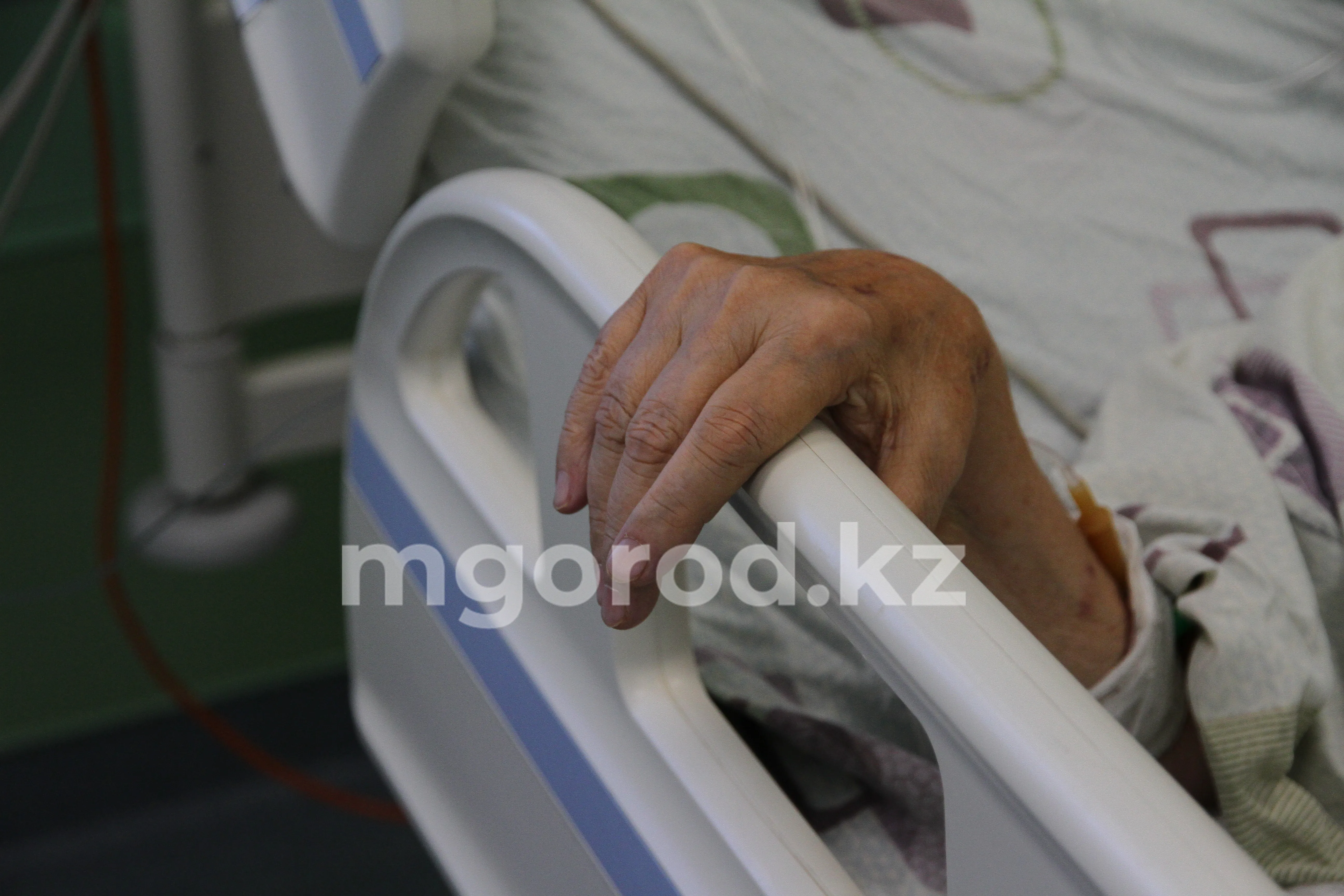 Двоих жителей ЗКО укусили змеи