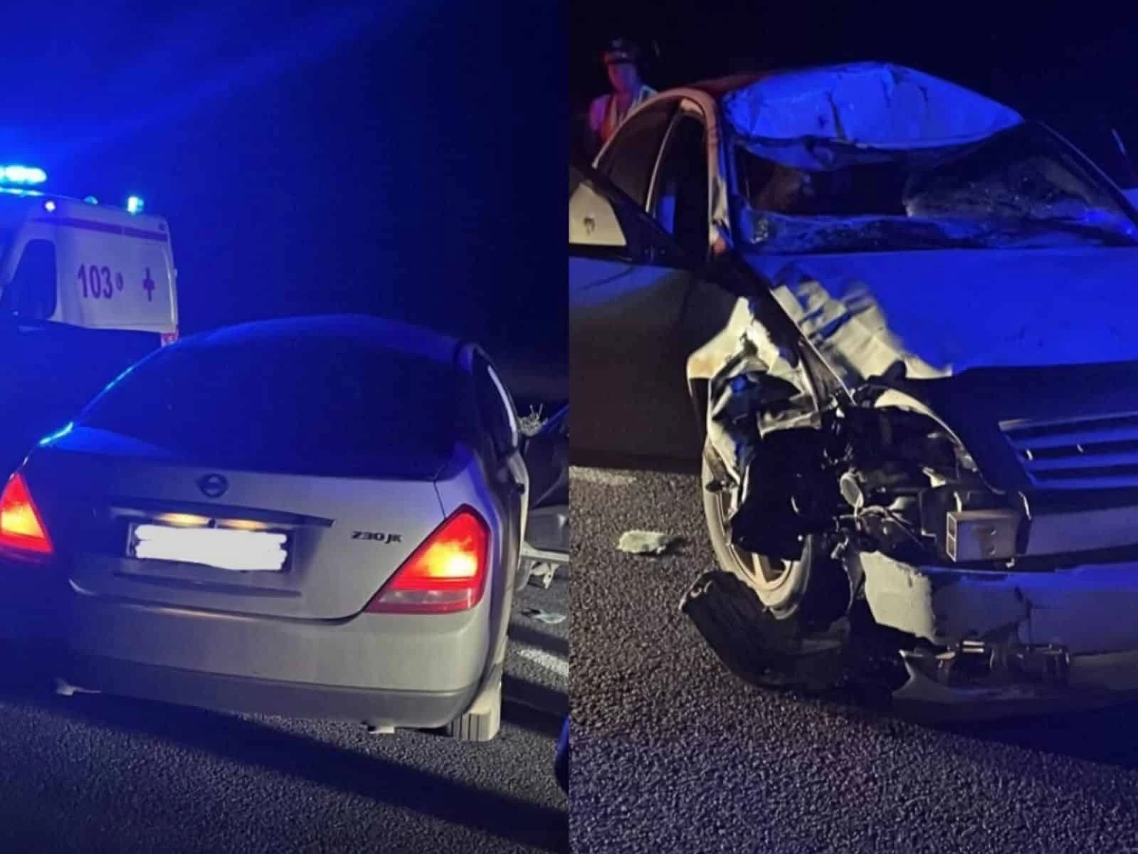 Иномарка наехала на лошадь в ЗКО: в аварии погибла женщина