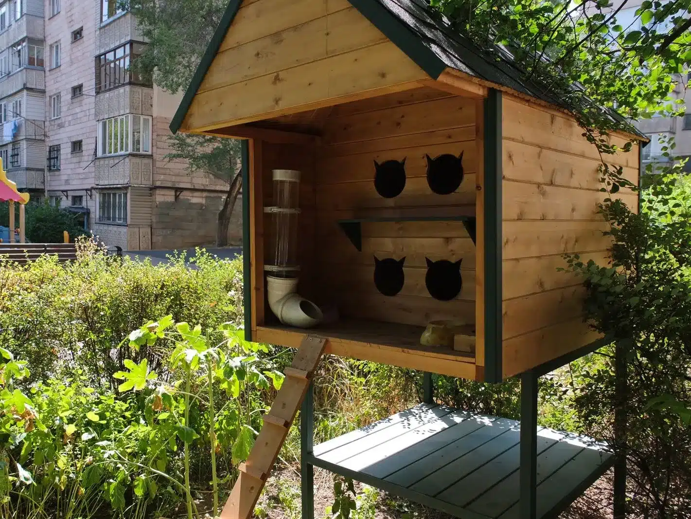 20 домиков для бездомных кошек установили в Алматы