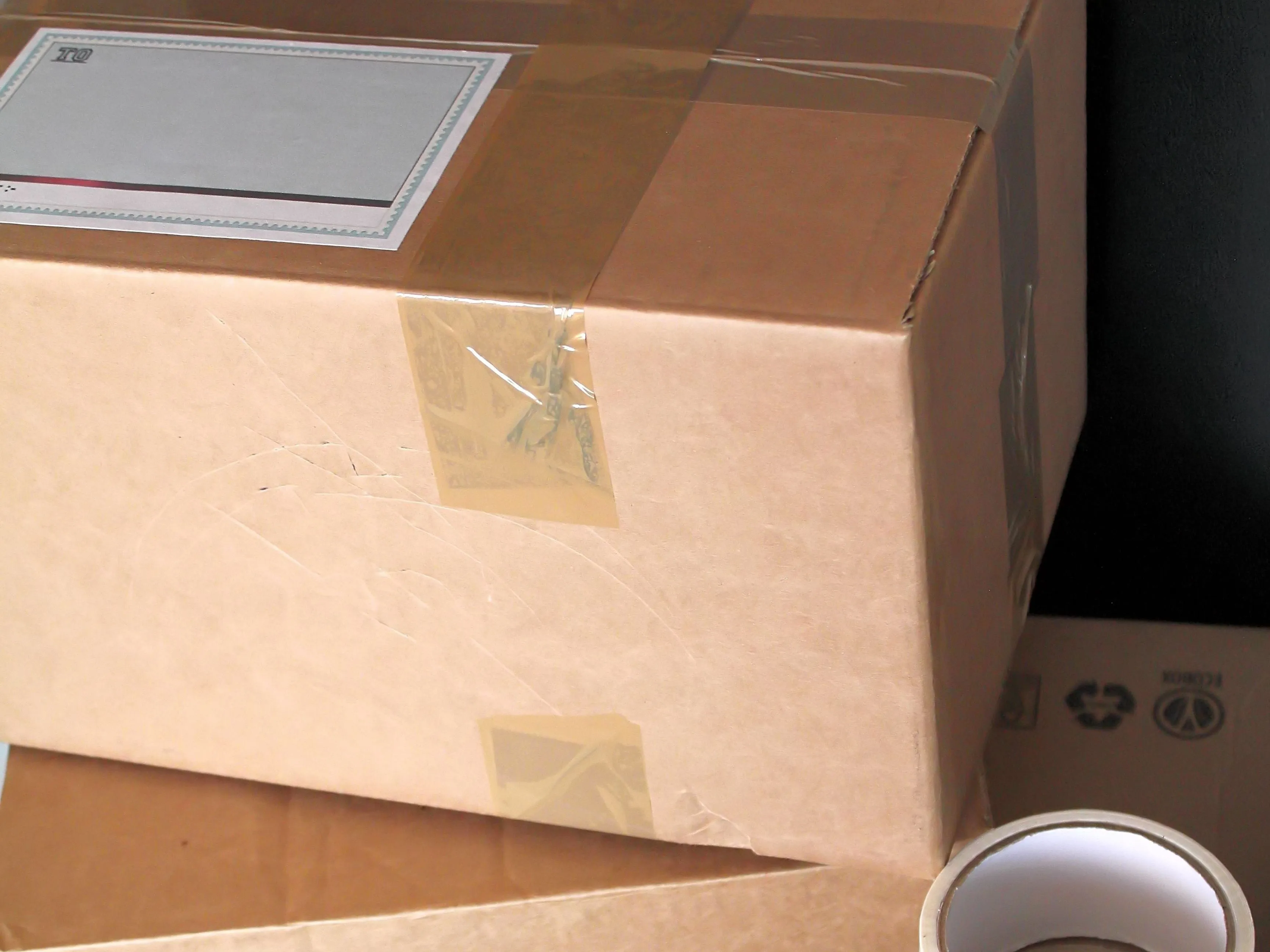 Муравьёв в коробке из-за под сладостей пытались ввезти в Казахстан