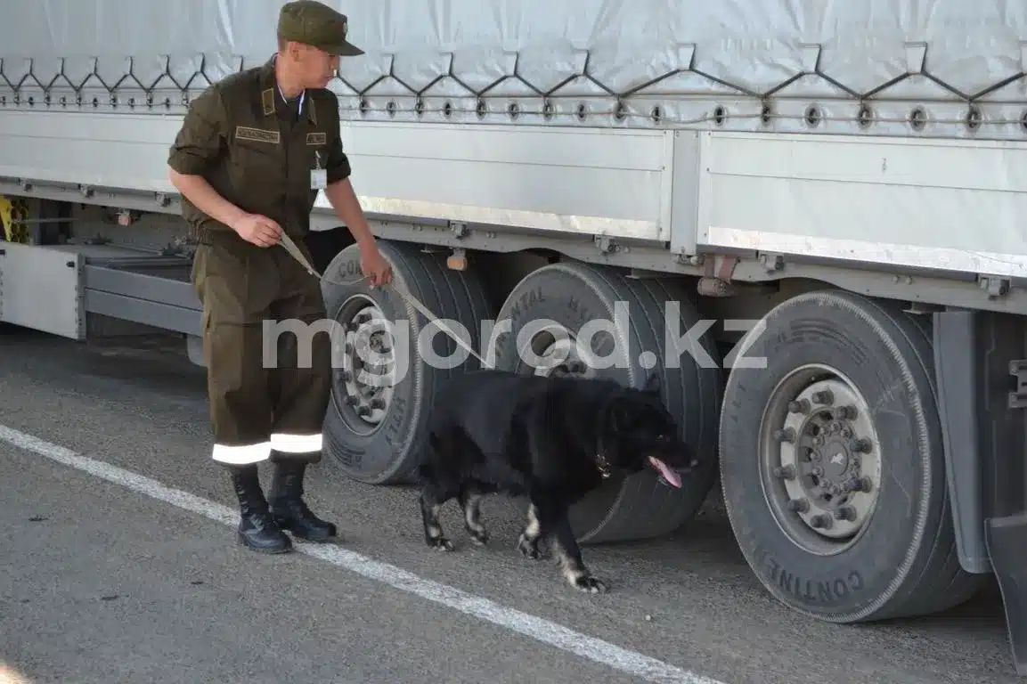 85 случаев попыток вывоза запрещенных товаров выявили на госгранице в ЗКО