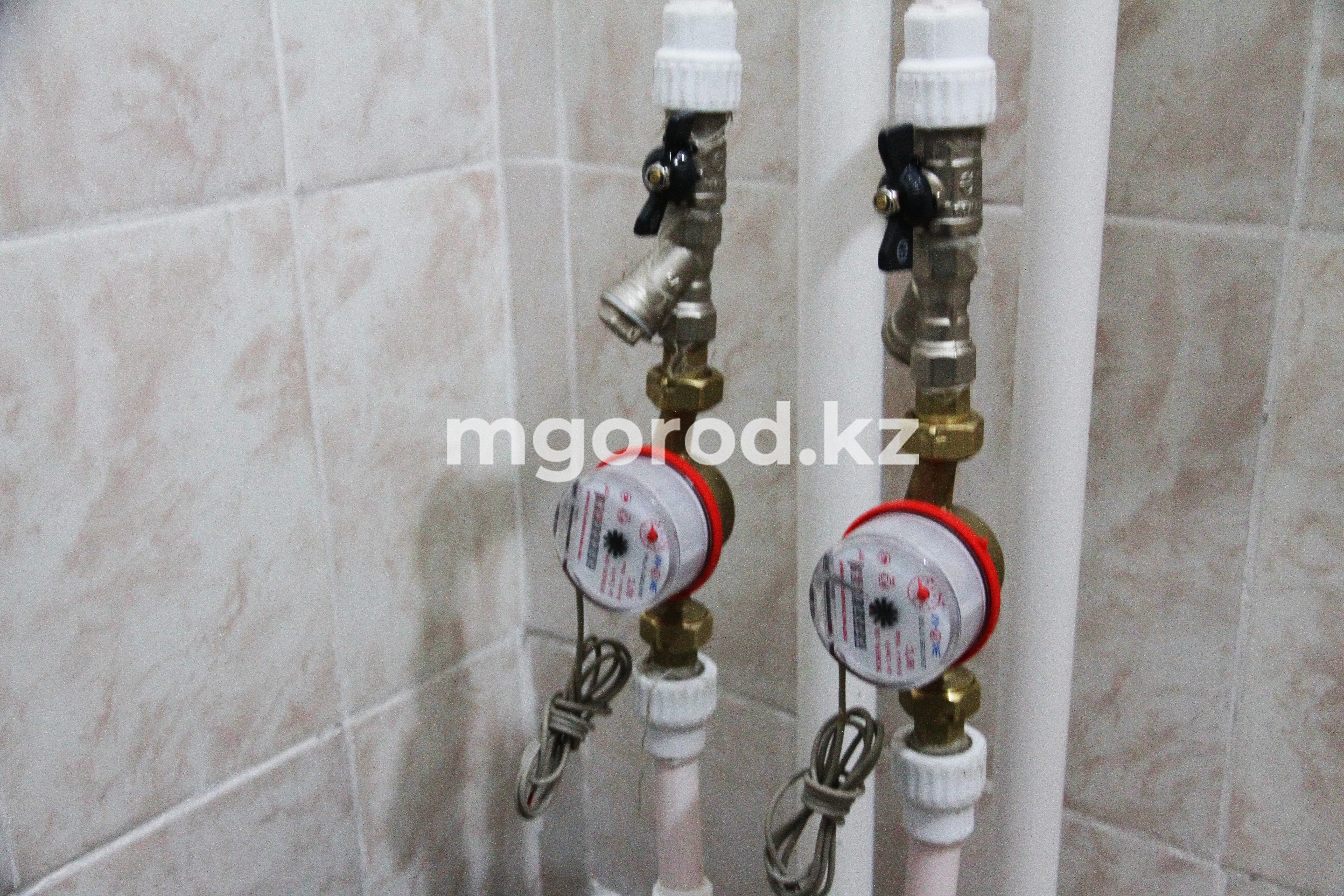 Ввести рыночные тарифы для субъектов естественных монополий поручил Токаев