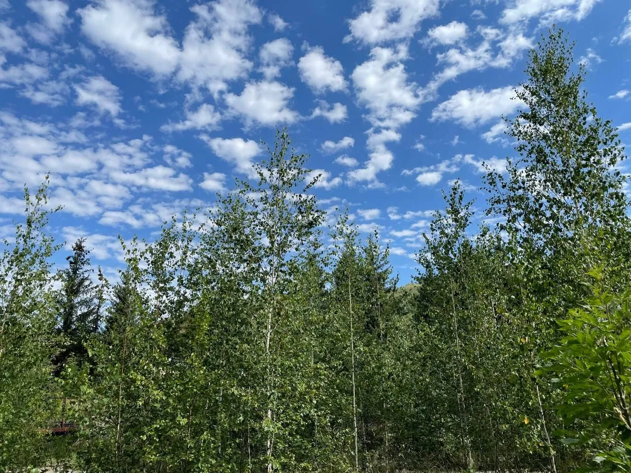 Высокая пожарная опасность сохраняется в ЗКО