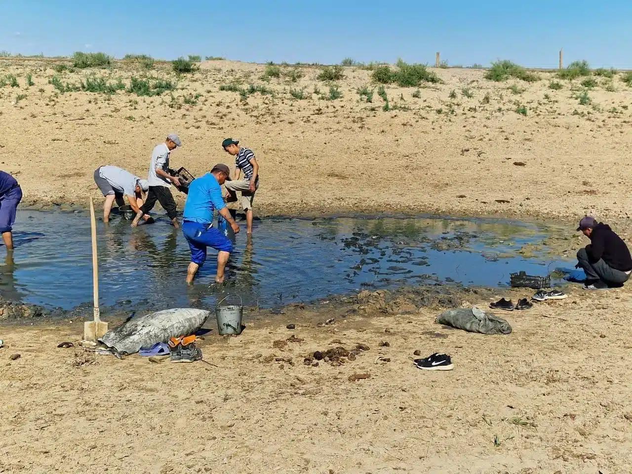 Мальки массово гибнут в Атырауской области