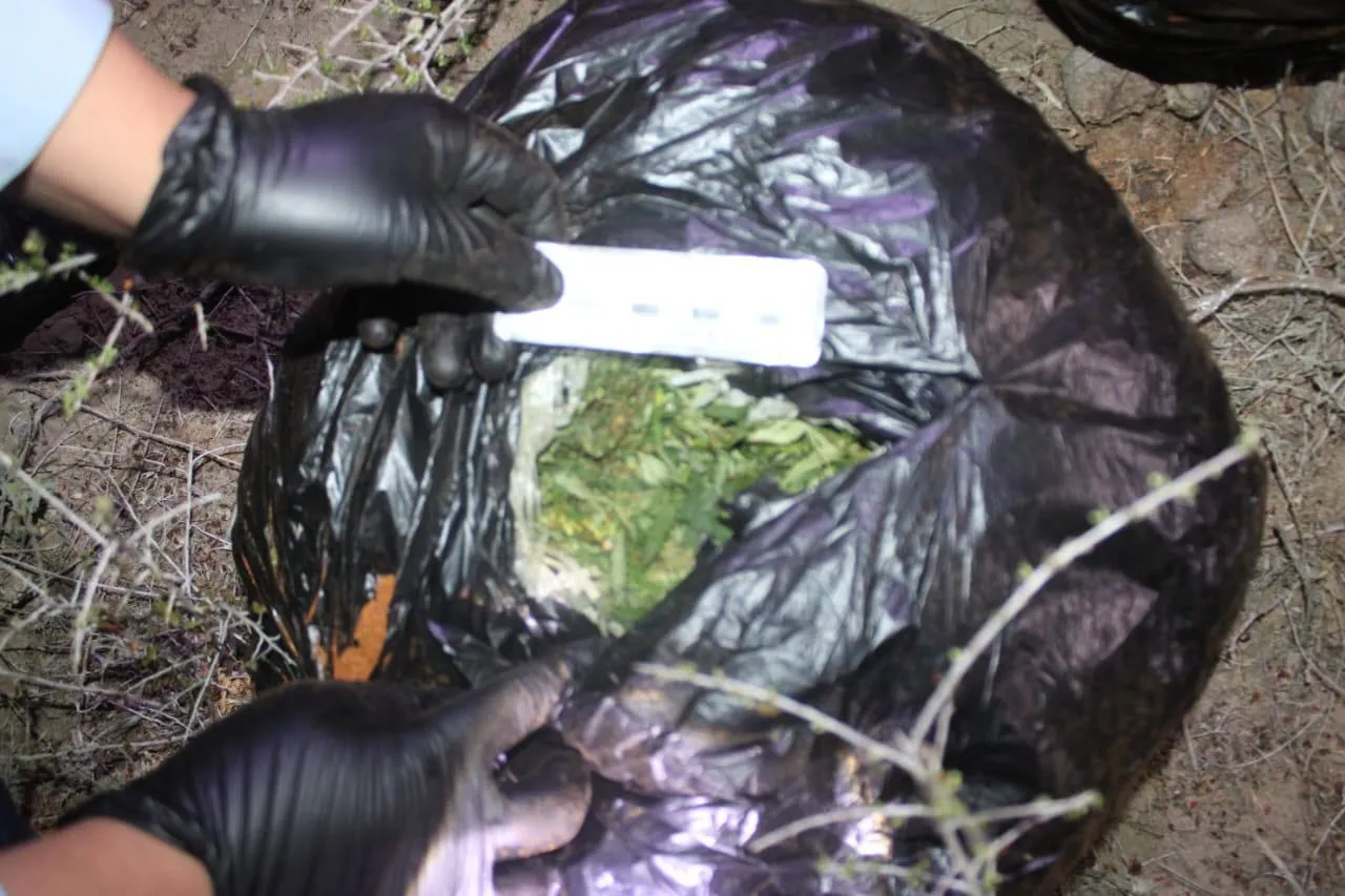 Жителей Атырау задержали с крупной партией наркотиков на юге Казахстана