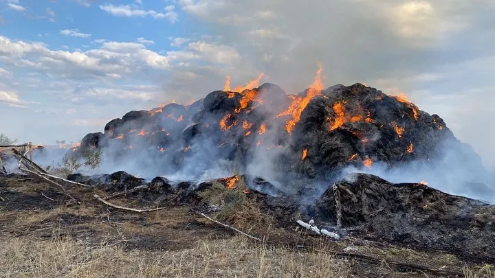 175 тонн заготовленного сена сгорело в ЗКО