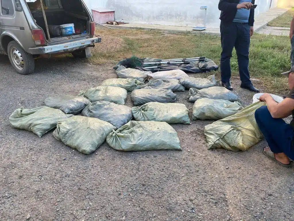 16 мешков раков перевозил житель ЗКО