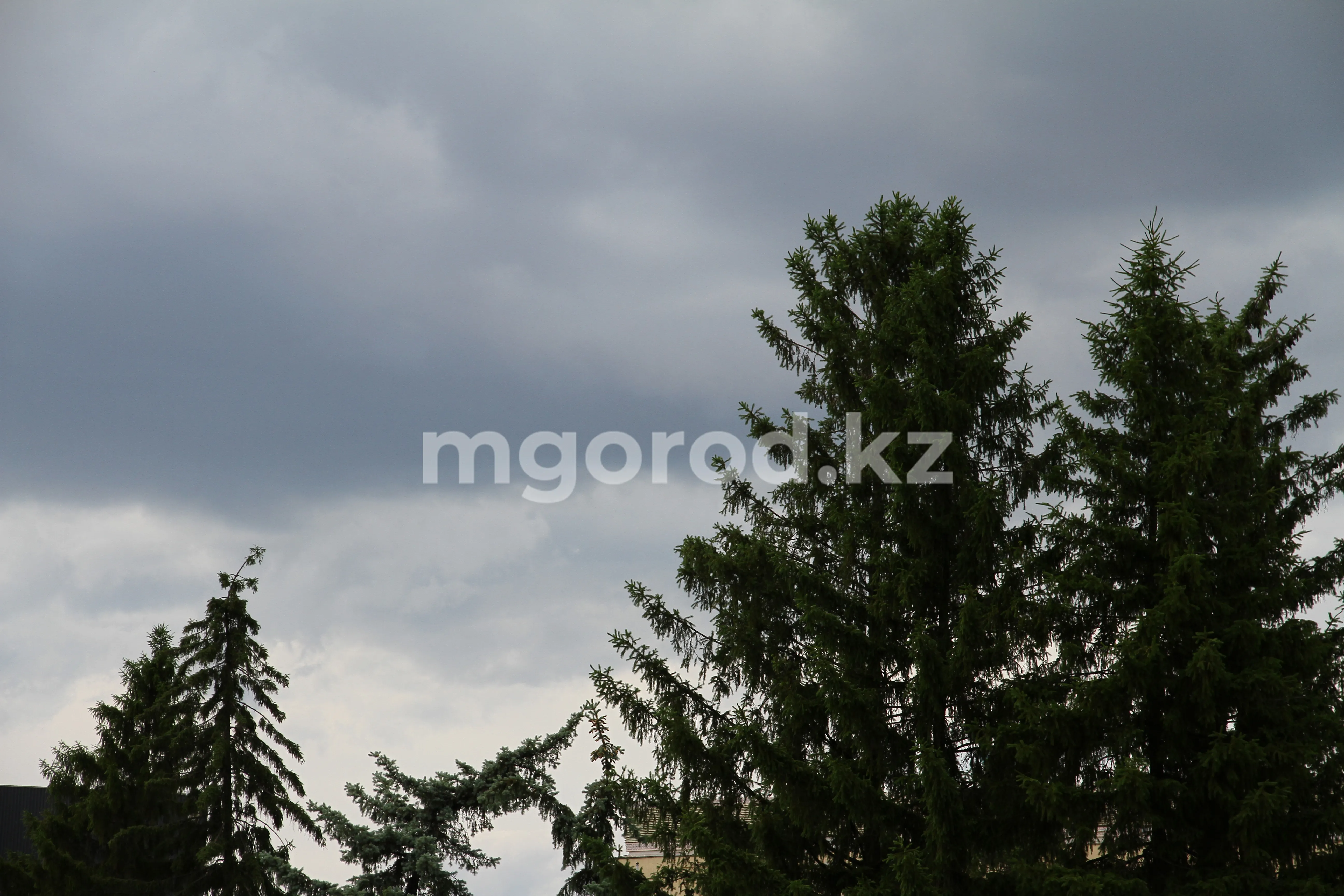 Заморозки ожидаются в ЗКО