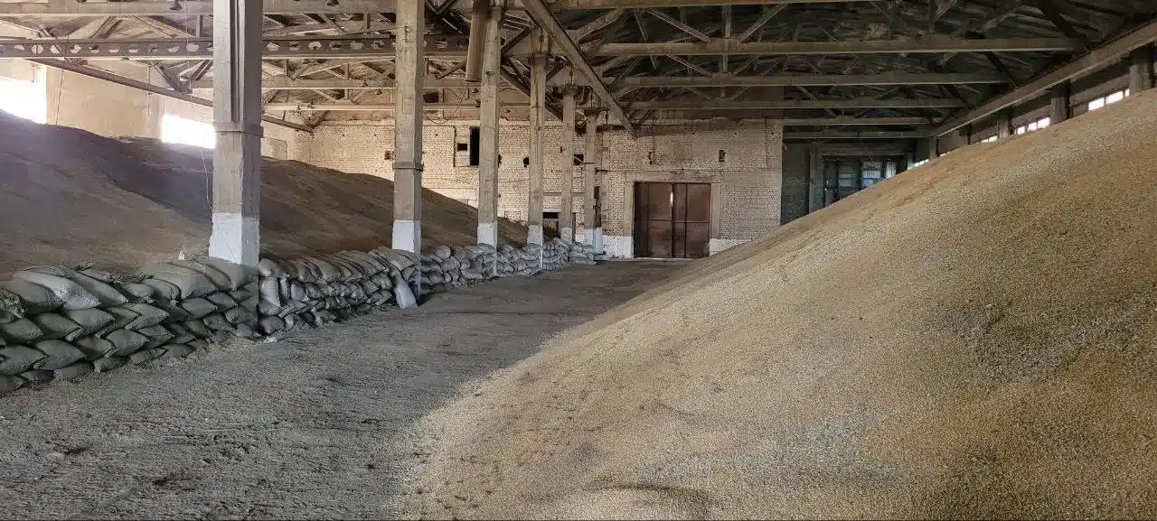 Пострадавшим из-за дождей хлеборобам Актюбинской области обещают оказать помощь