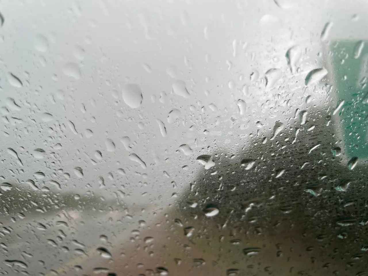 Сильный дождь и туман ожидается в ЗКО