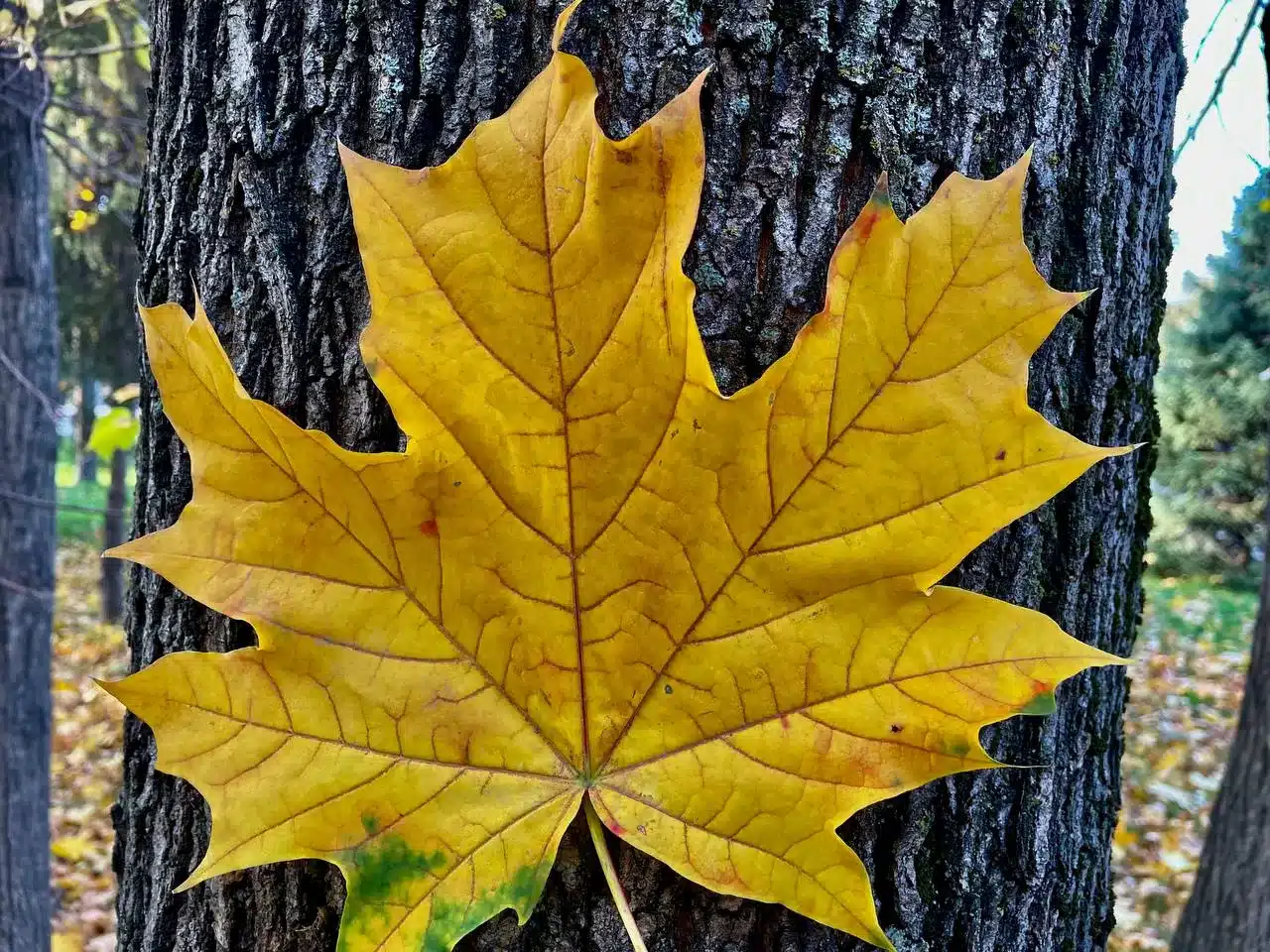 Сильные осадки ожидаются в ЗКО