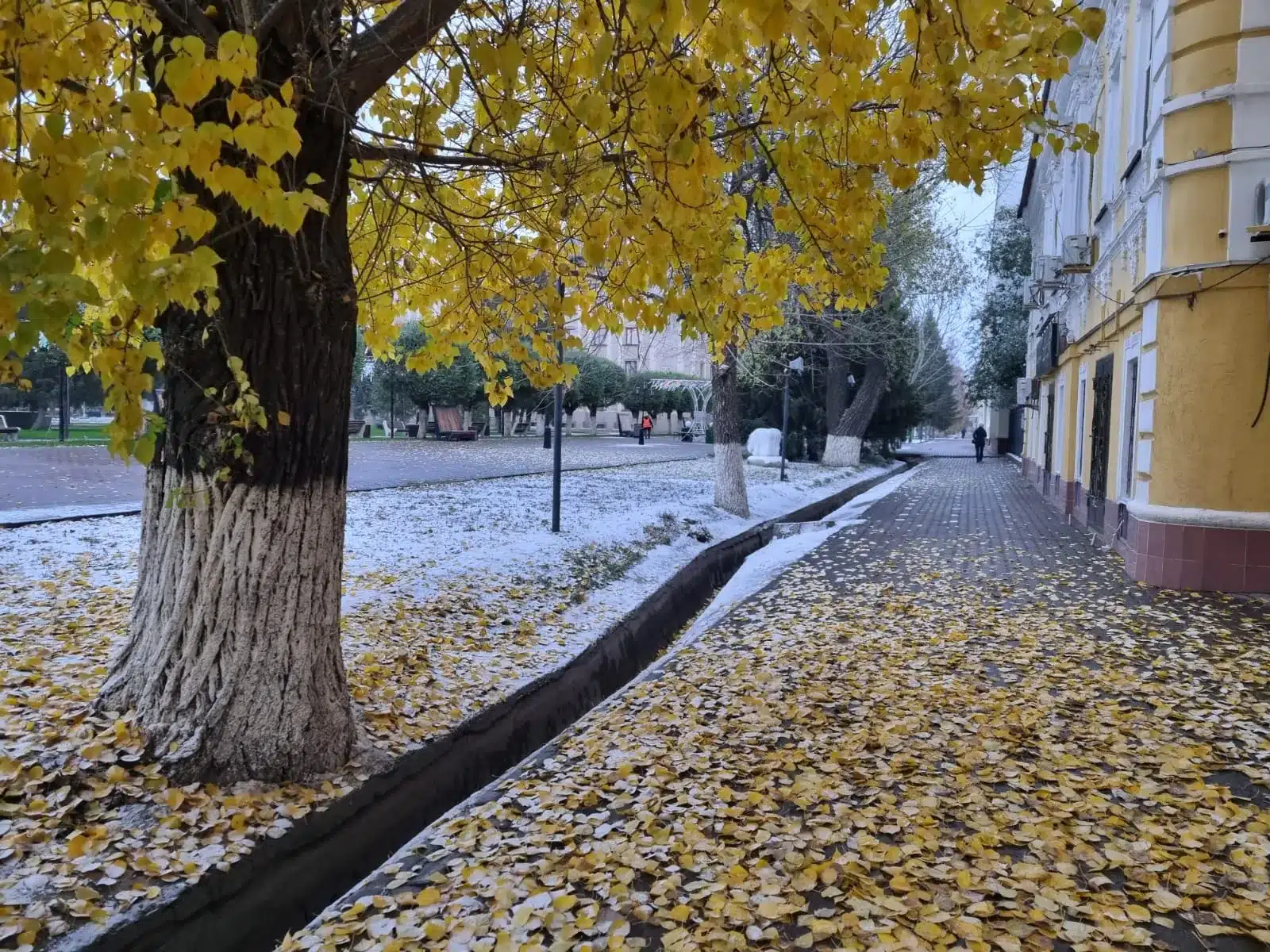 «Переобуть» авто просят алматинцев. Ожидается гололёд