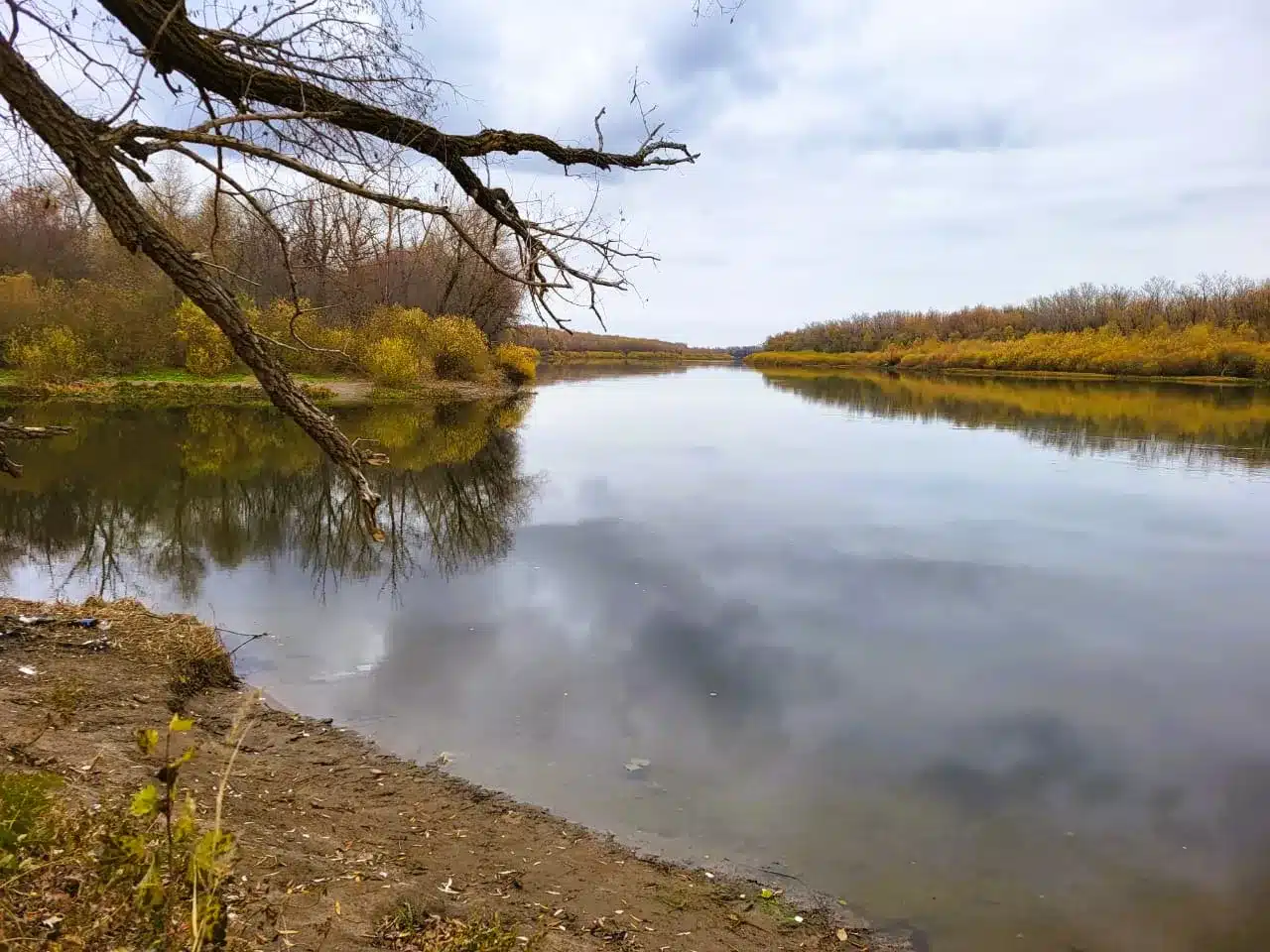 Усиление ветра ожидается в ЗКО