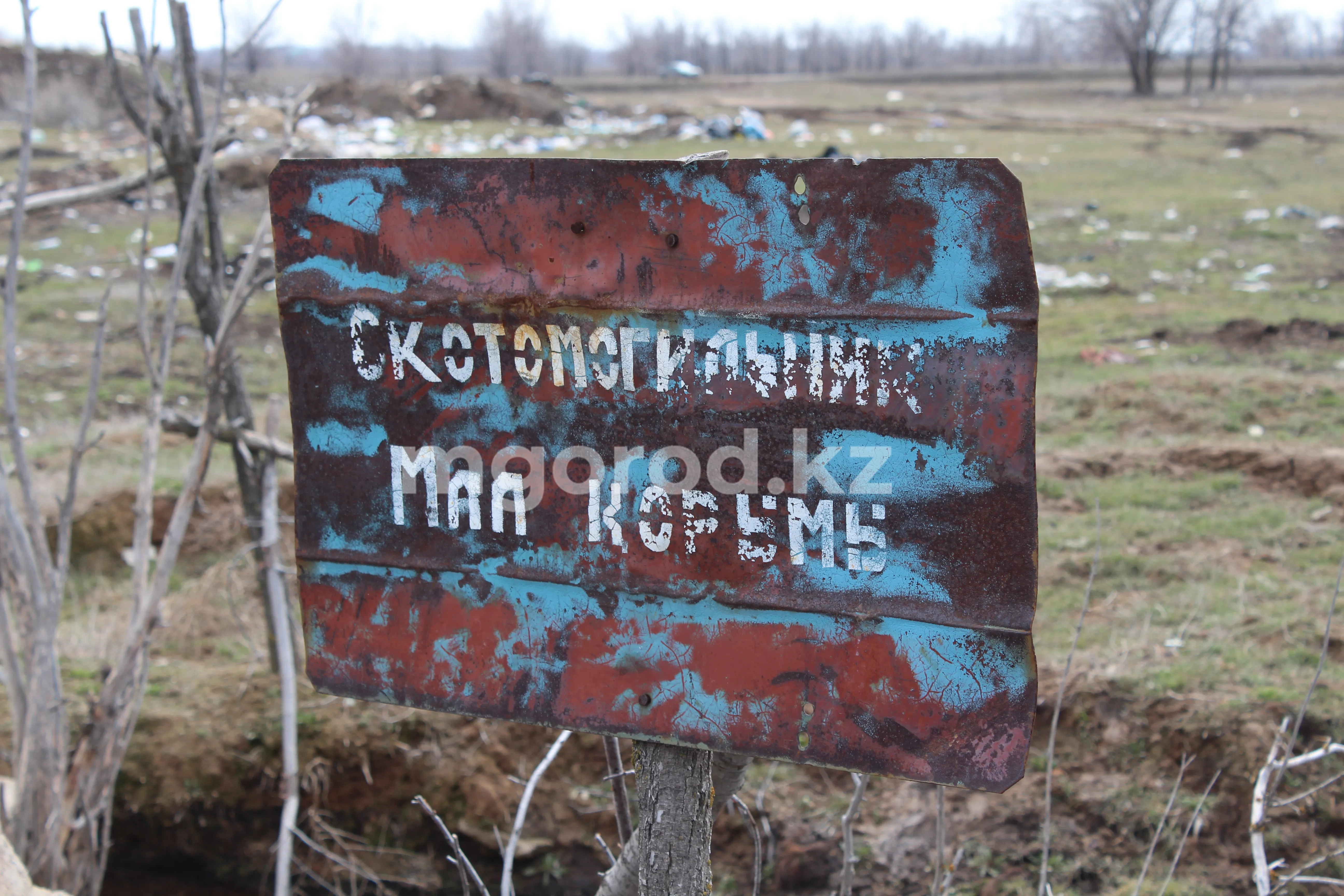 Захоронения сибирской язвы нашли рядом с жилыми домами в Уральске