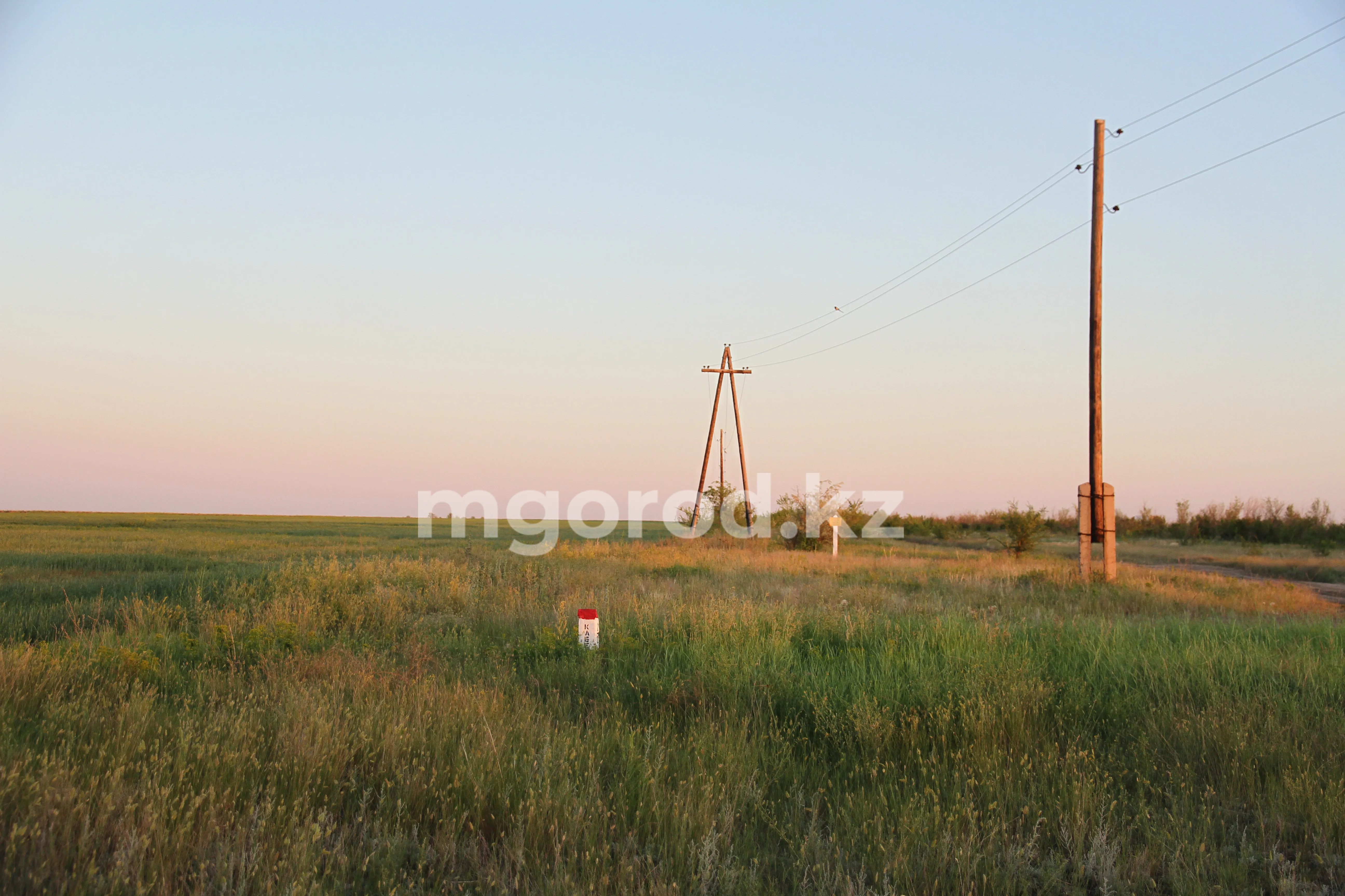 100 тысяч гектаров земли просят китайские инвесторы для мясоперерабатывающего завода в ЗКО