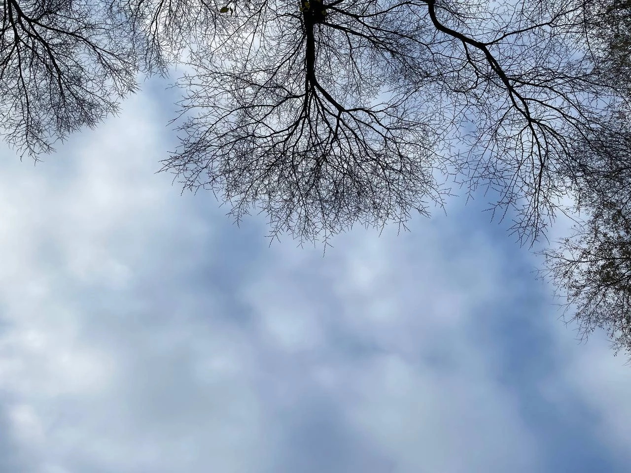 Дождь ожидается в Уральске