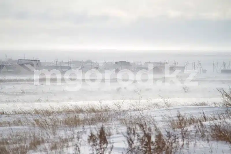 Дорогу между сёлами Чапаево и Казталовка закрыли из-за бурана