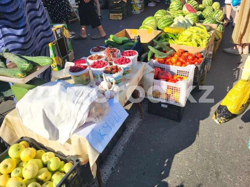 Сельскохозяйственная ярмарка пройдёт в Уральске 2 и 3 декабря
