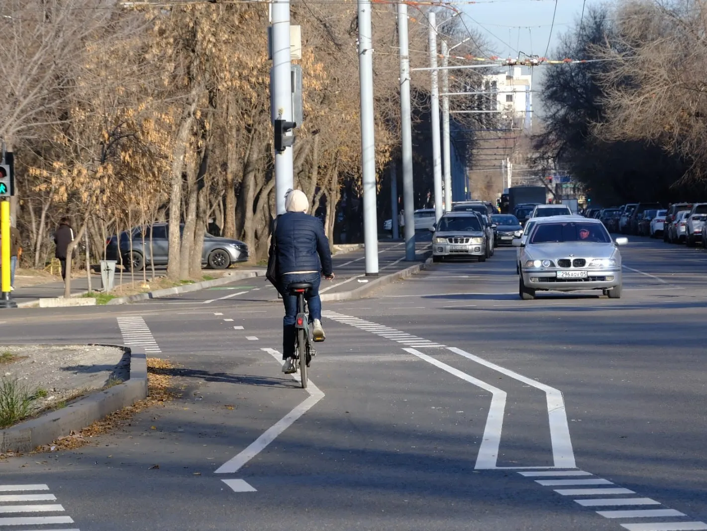 Новую велополосу обустроили в Алматы