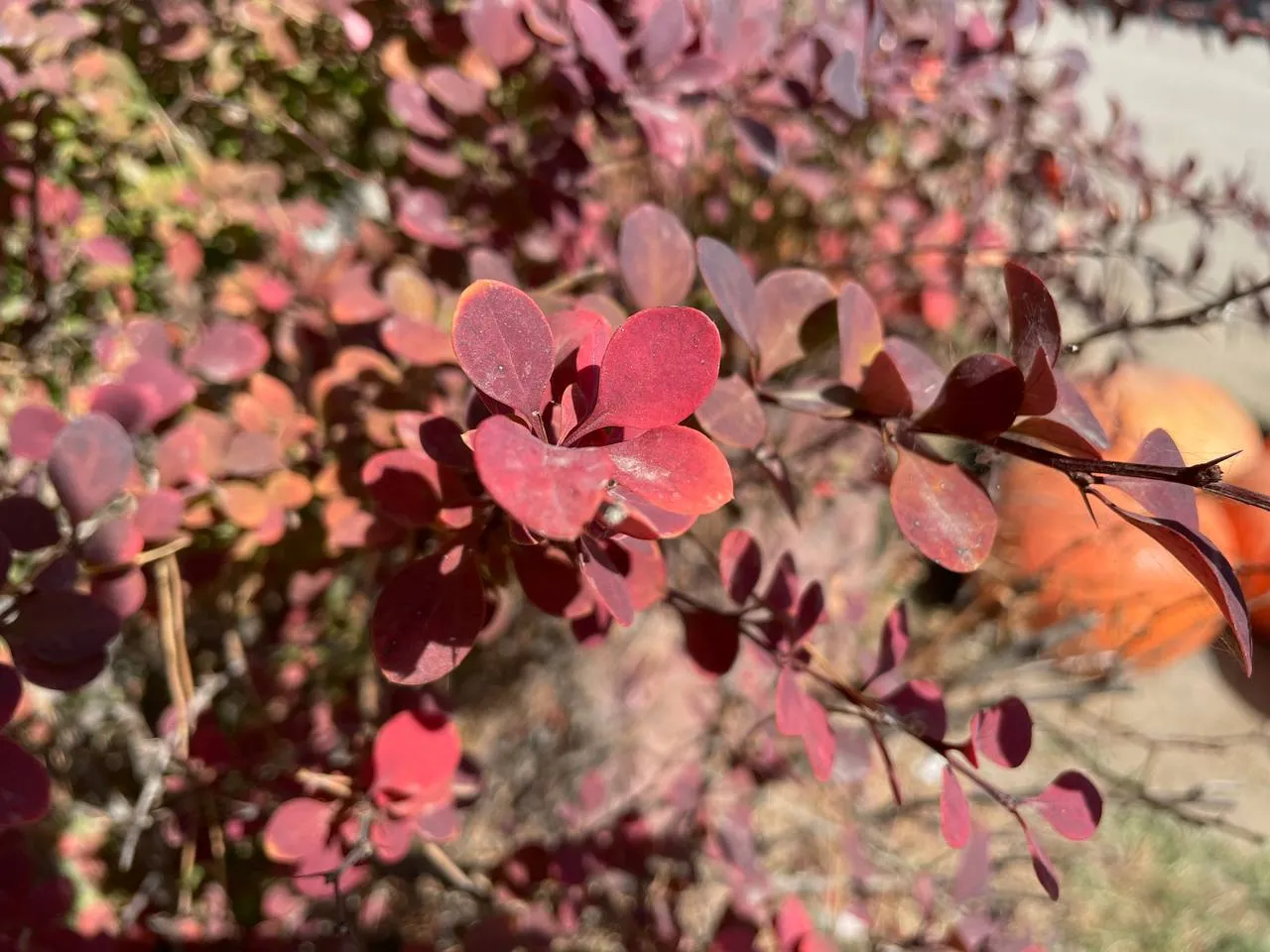 Погода в Уральске на 30 ноября