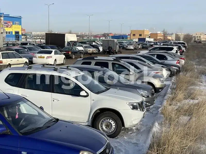 «Cерые схемы» ввоза иностранных авто выявили в ЗКО