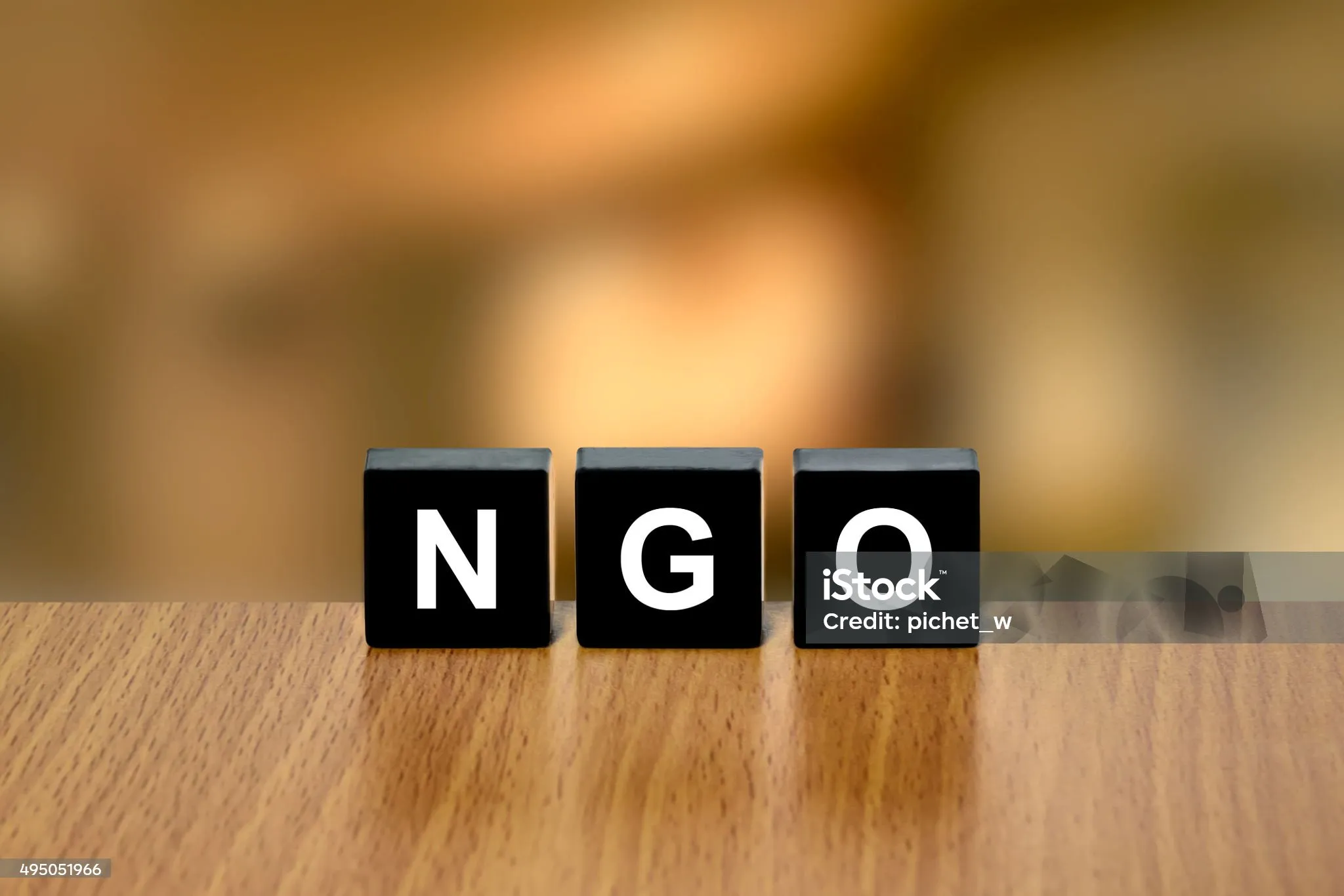 47 неправительственных организаций работают в Бурлинском районе