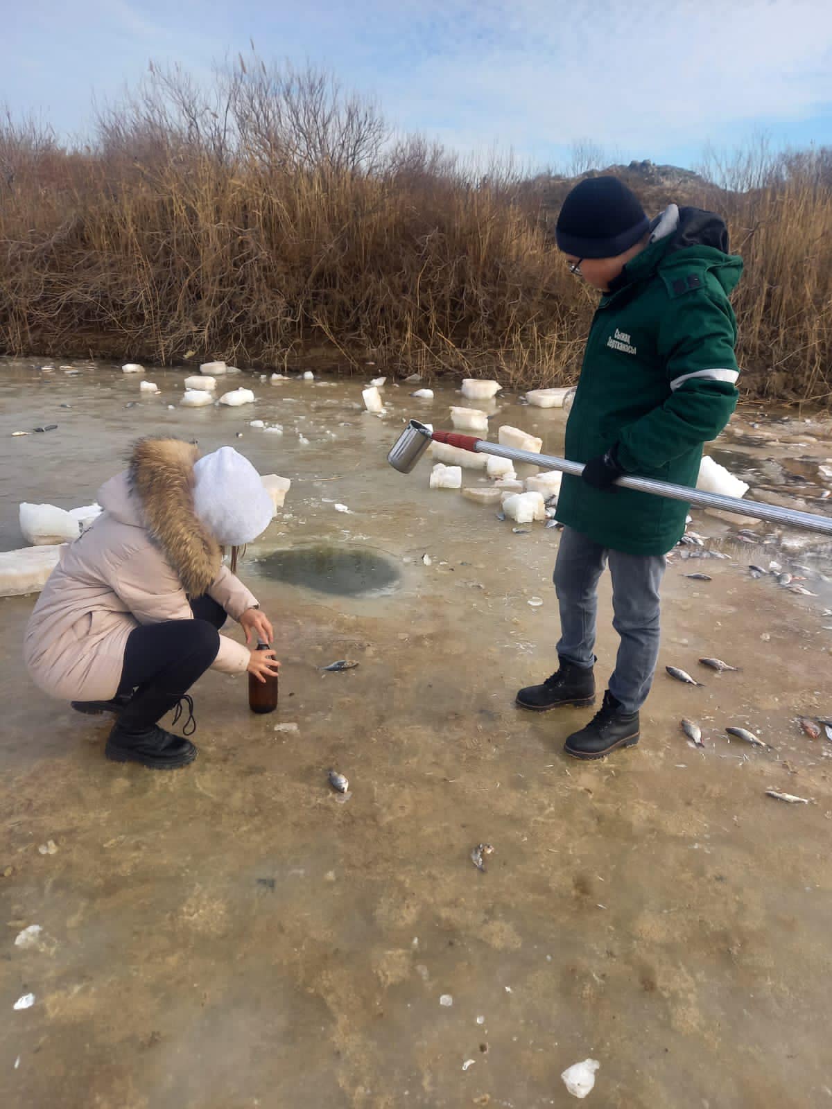 Массовый замор рыбы произошел в Атырауской области