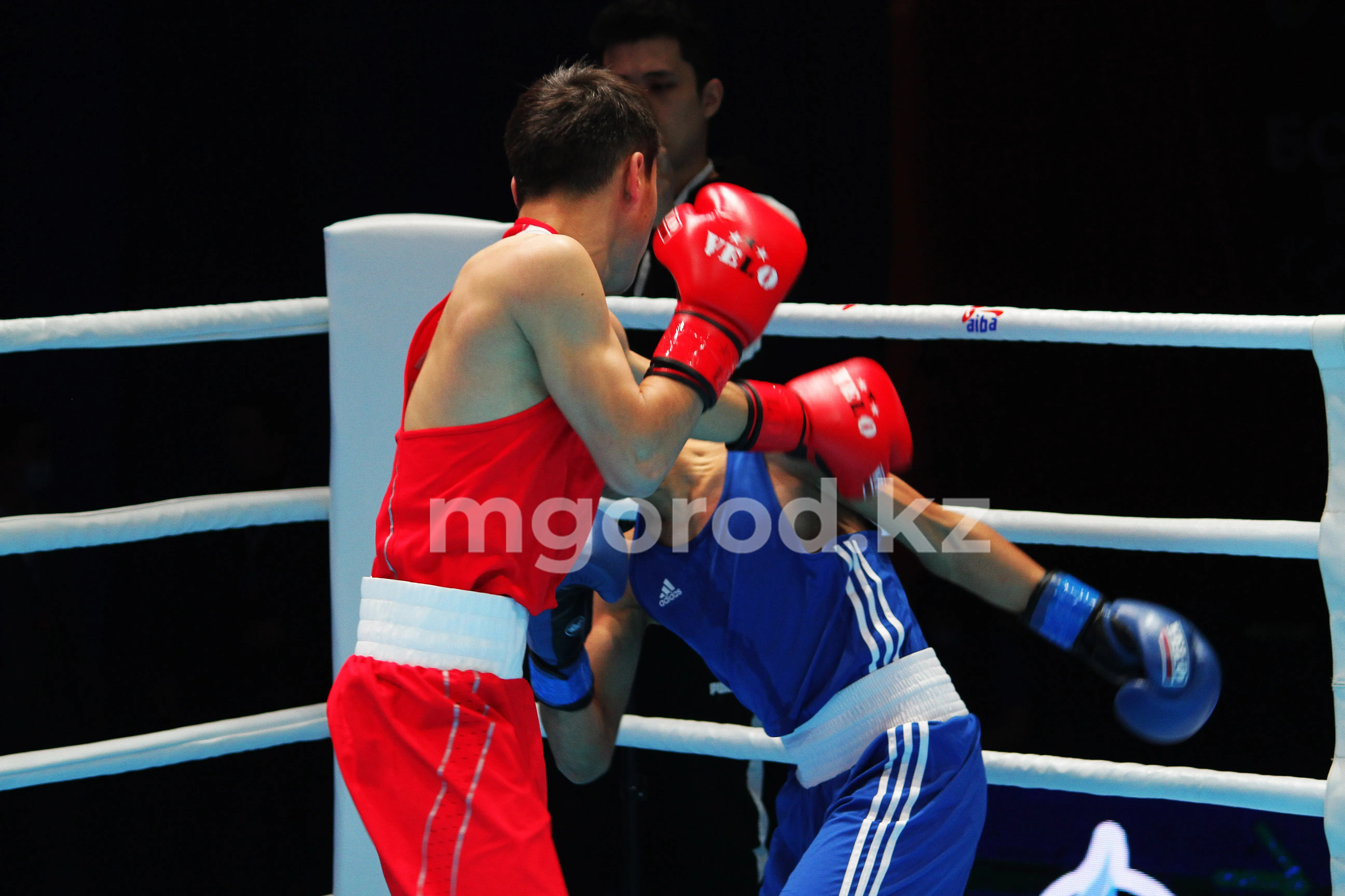 Какие изменения в сфере спорта ждут Казахстан?