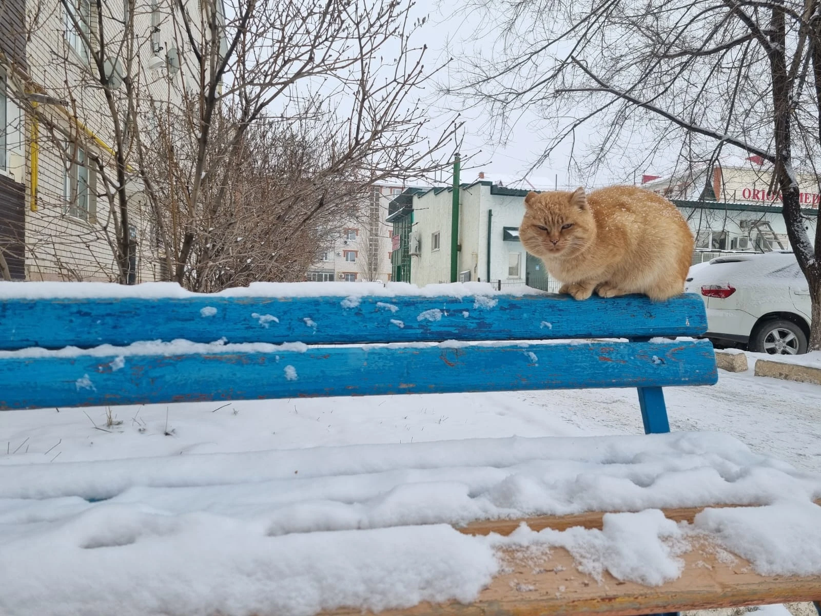 В каких регионах Казахстана зима будет снежной — прогноз «Казгидромета»