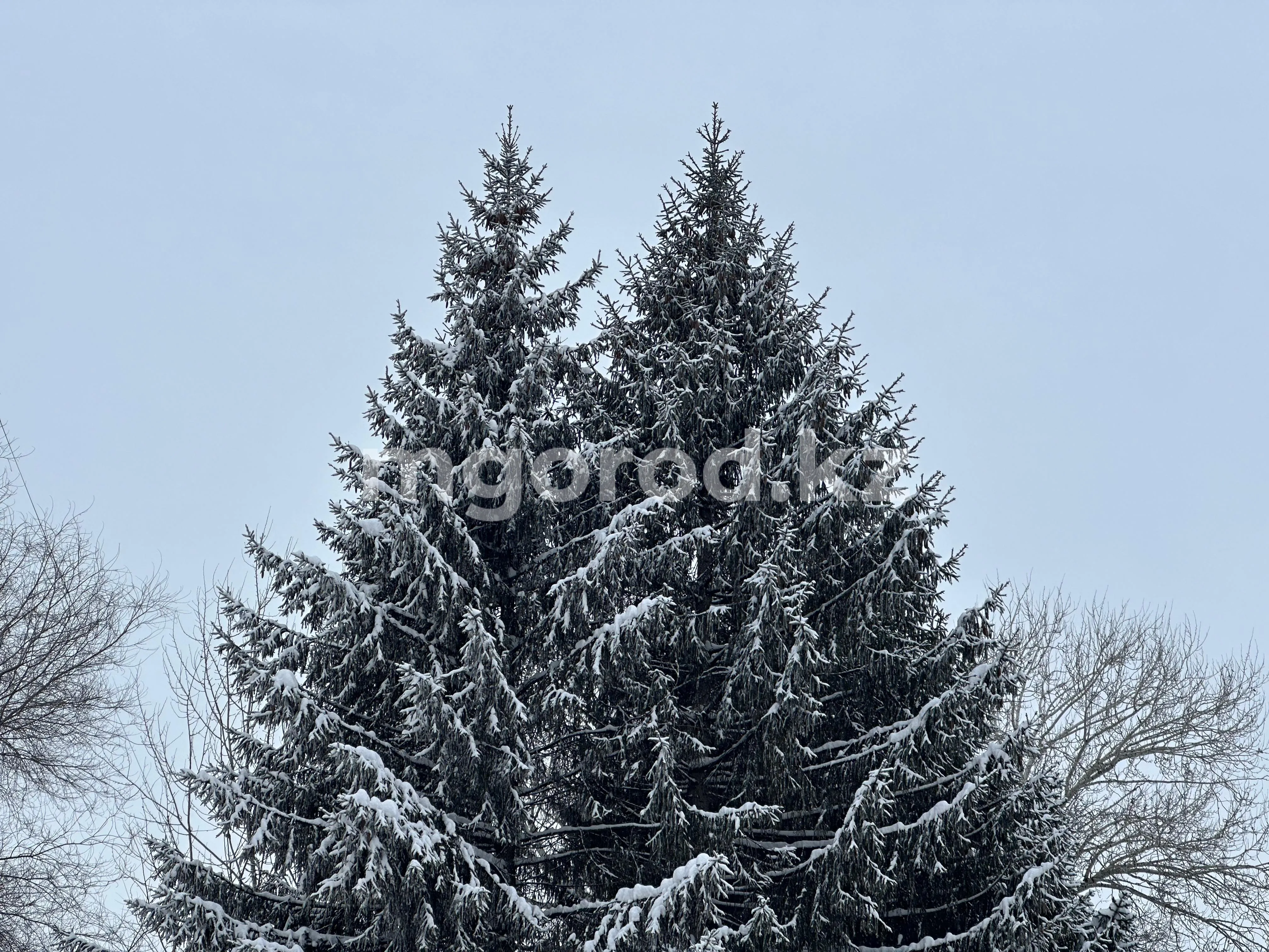 Погода на 11 февраля