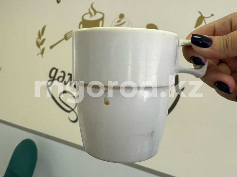 Ели из грязной и треснутой посуды: в школьных столовых Атырау нашли нарушения