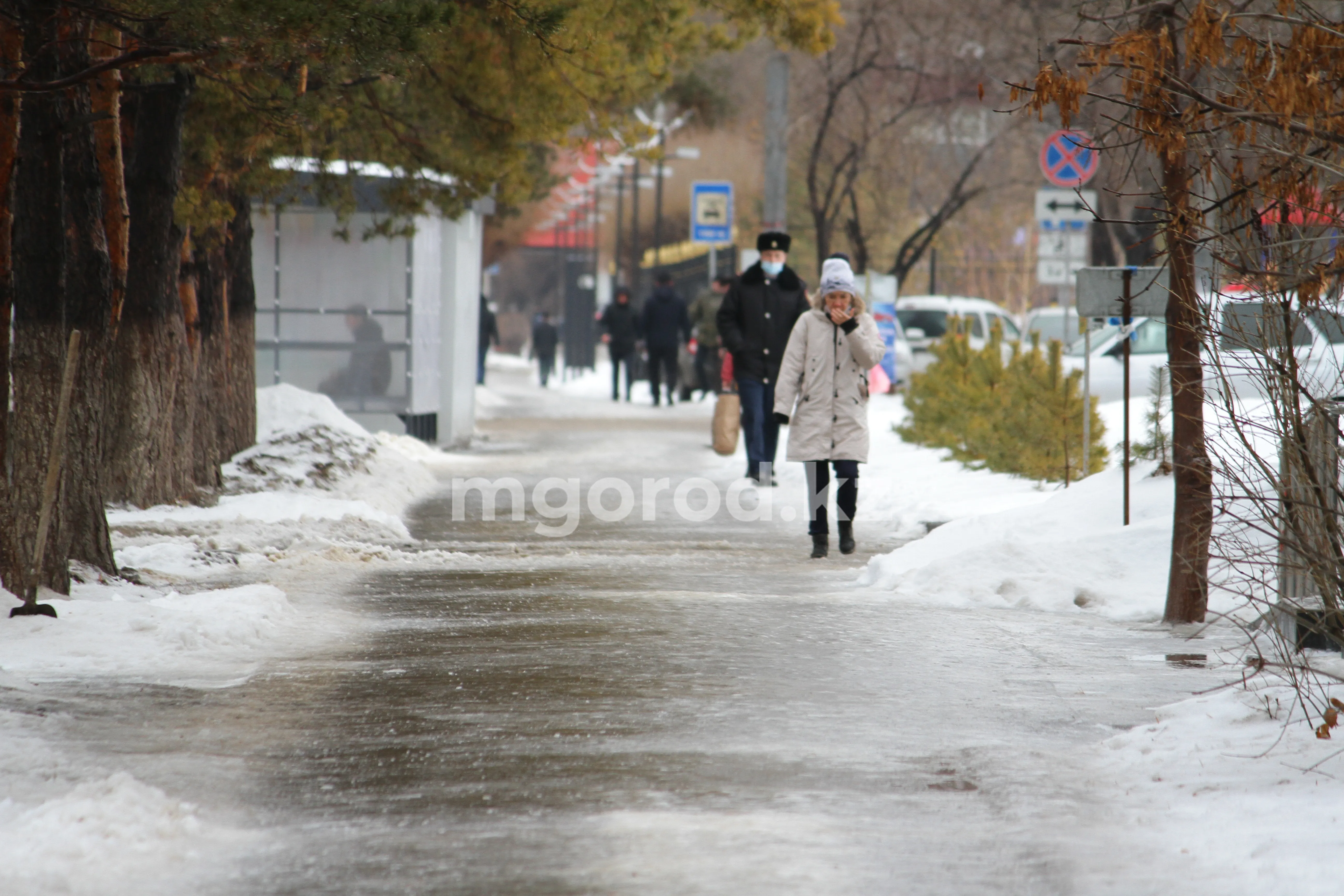 Погода на 24 февраля